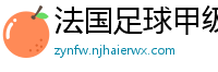 法国足球甲级联赛